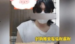 舒畅爆料偷税漏税视频,视频曝光行业乱象